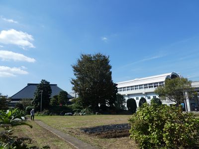 信田家と川和町駅
