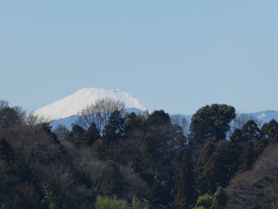 「富士山が日本一綺麗に見える地下鉄の駅」に認定されている川和町駅からの富士山
