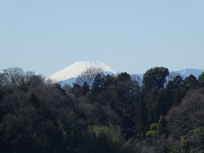 「富士山が日本一綺麗に見える地下鉄の駅」に認定されている川和町駅からの富士山
