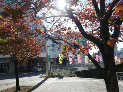 センター北駅前
