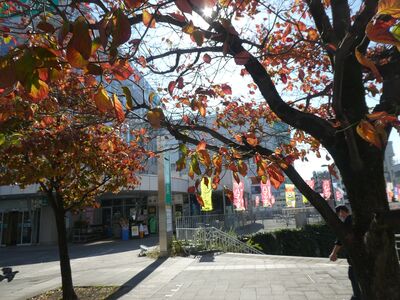 センター北駅前
