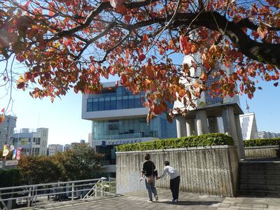 センター北駅前
