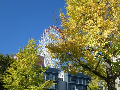 センター北駅前
