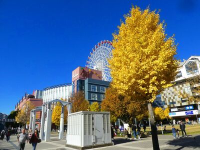 センター北駅前
