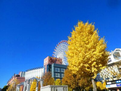 センター北駅前
