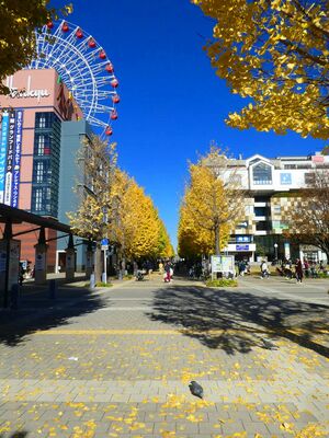 センター北駅前
