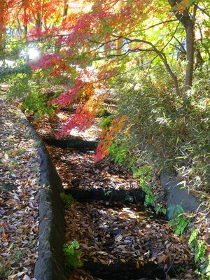 都筑中央公園　杉山神社
