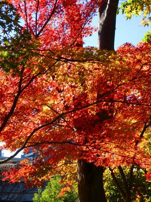 都筑中央公園　杉山神社
