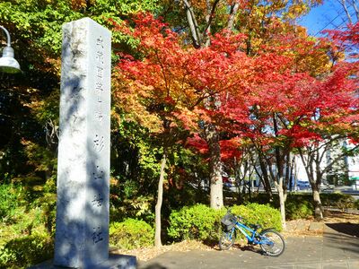 都筑中央公園　杉山神社
