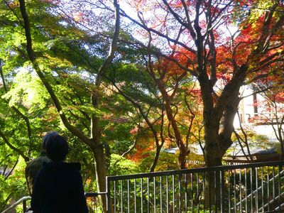 心行寺
