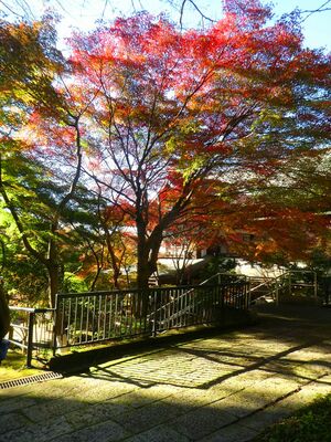 心行寺
