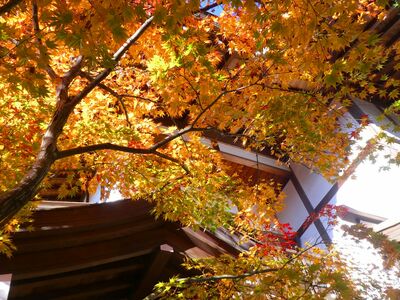 ささぶねの道
心行寺
