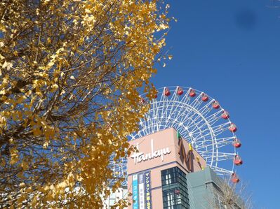 センター北駅前
