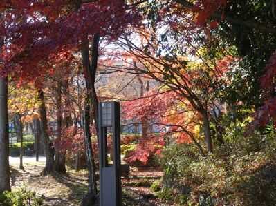 都筑中央公園杉山神社
