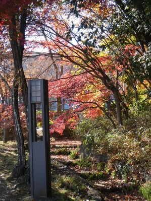 都筑中央公園杉山神社

