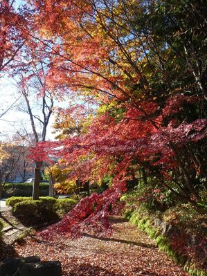 都筑中央公園杉山神社
