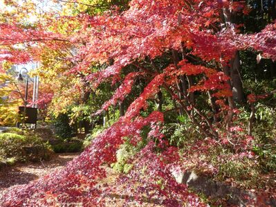 都筑中央公園杉山神社
