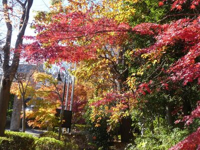 都筑中央公園杉山神社
