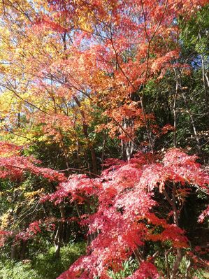 都筑中央公園杉山神社
