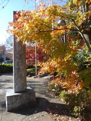 都筑中央公園杉山神社
