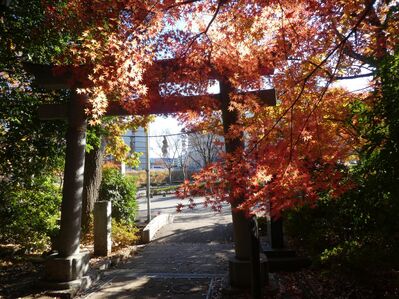 都筑中央公園杉山神社
