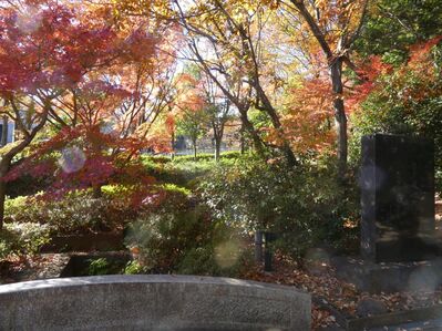 都筑中央公園杉山神社
