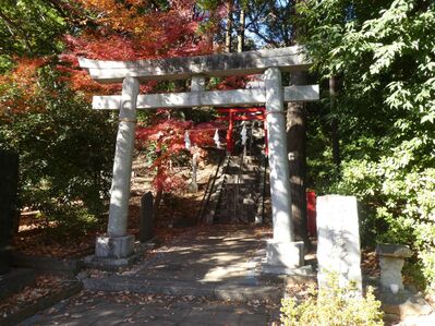 都筑中央公園杉山神社
