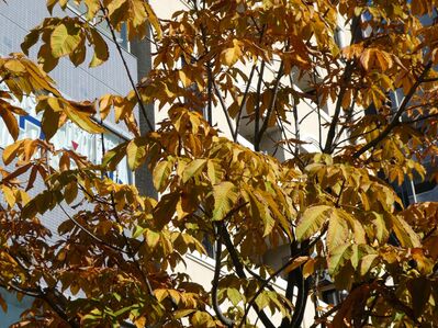 センター南駅バスロータリー
