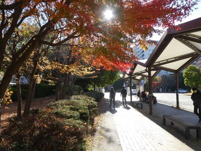 センター南駅バスロータリー
