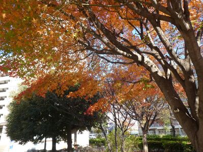 センター南駅バスロータリー
