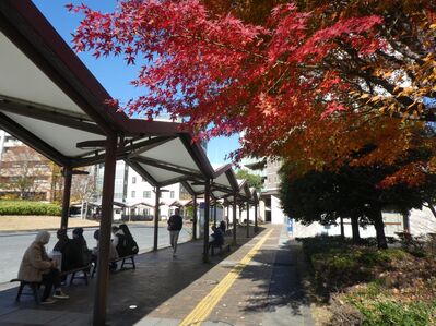センター南駅バスロータリー
