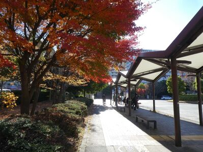 センター南駅バスロータリー
