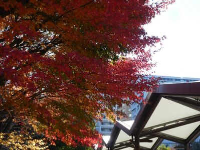 センター南駅バスロータリー
