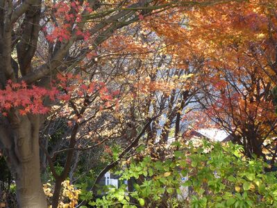 センター南駅バスロータリー
