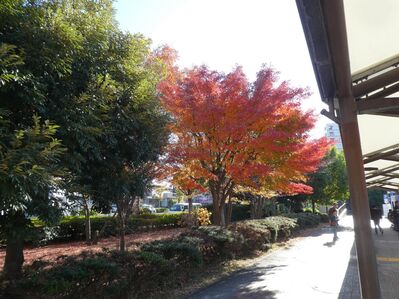 センター南駅バスロータリー
